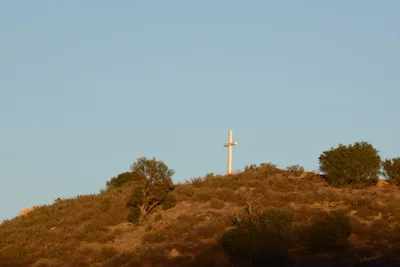 DSC_5440 (Large).JPG